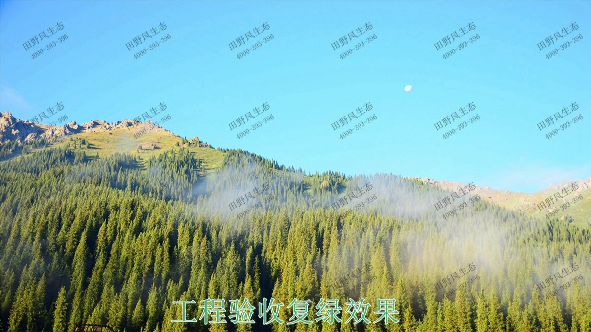 生態(tài)修復(fù)，綠植租擺，景觀綠化，綠化養(yǎng)護(hù)，邊坡修復(fù)